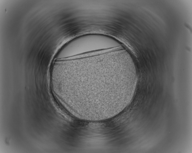 X0000090990840200708301310