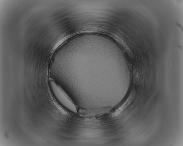 X0000090990842200708301310