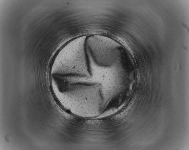 X0000090990843200708301310