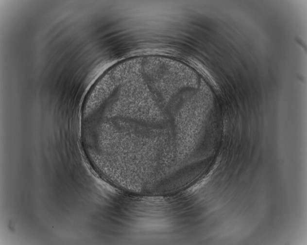 X0000090990844200708301310