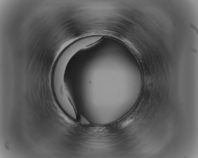 X0000090990846200708301310