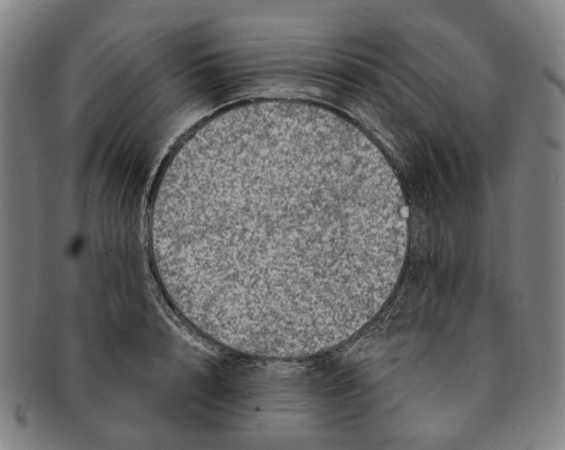 X0000090990848200708301310