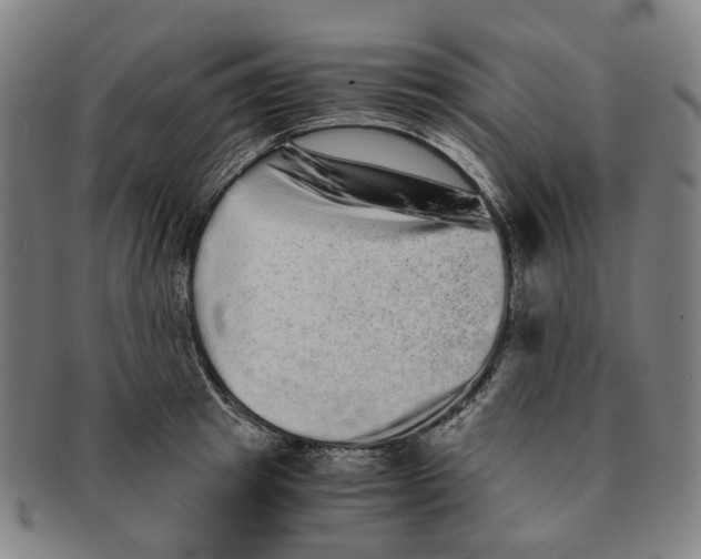 X0000090990849200708301310