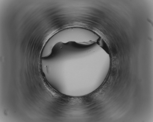 X0000090990850200708301310