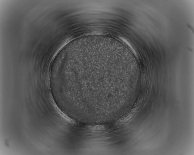 X0000090990851200708301310