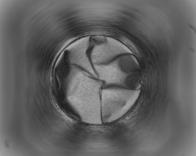 X0000090990852200708301310