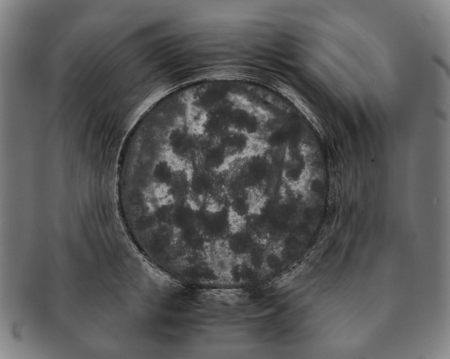 X0000090990853200708301310