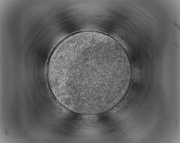 X0000090990856200708301310