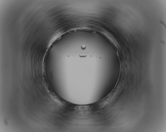 X0000090990858200708301310