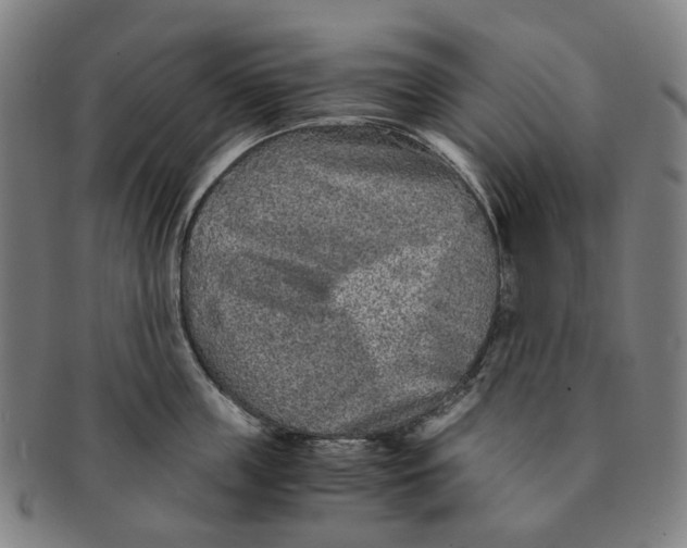 X0000090990859200708301310