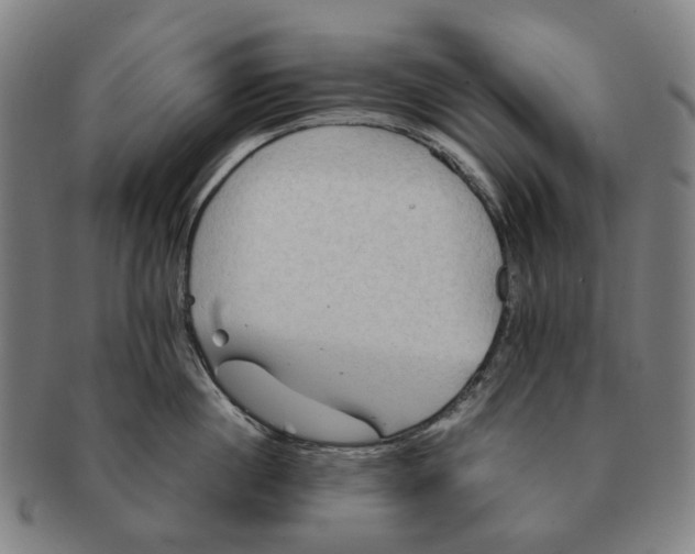 X0000090990860200708301310