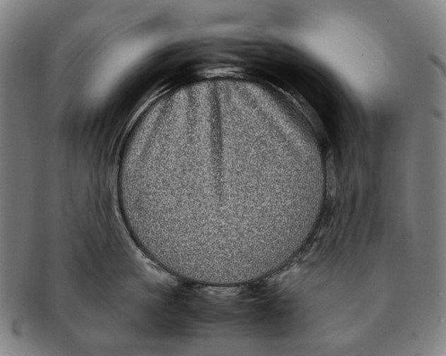 X0000090990861200708301310