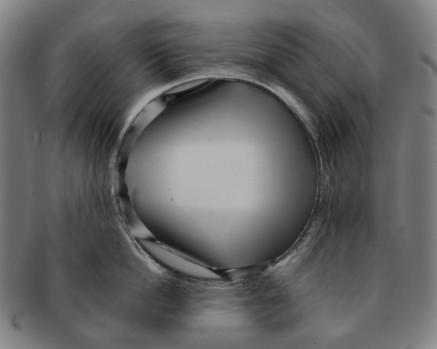 X0000090990862200708301310