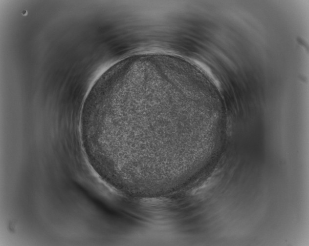 X0000090990863200708301310