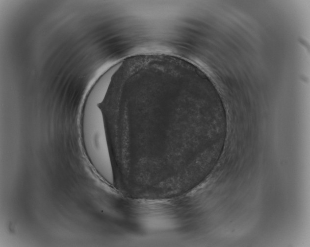 X0000090990864200708301310