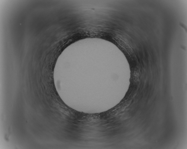 X0000090990865200708301310