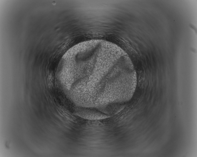 X0000090990866200708301310