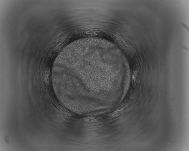 X0000090990867200708301310