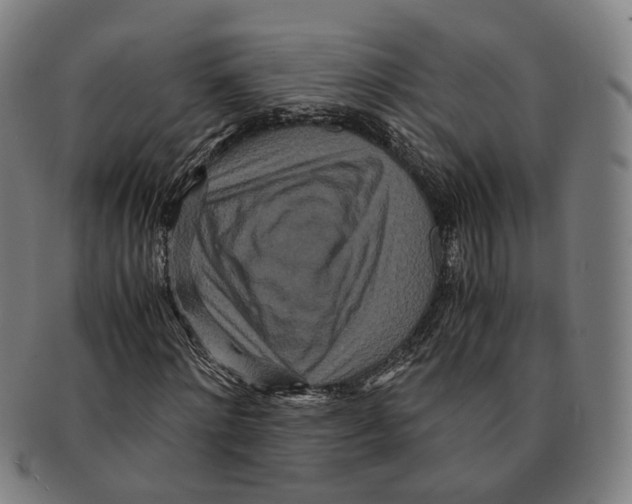 X0000090990868200708301310