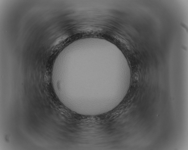 X0000090990869200708301310