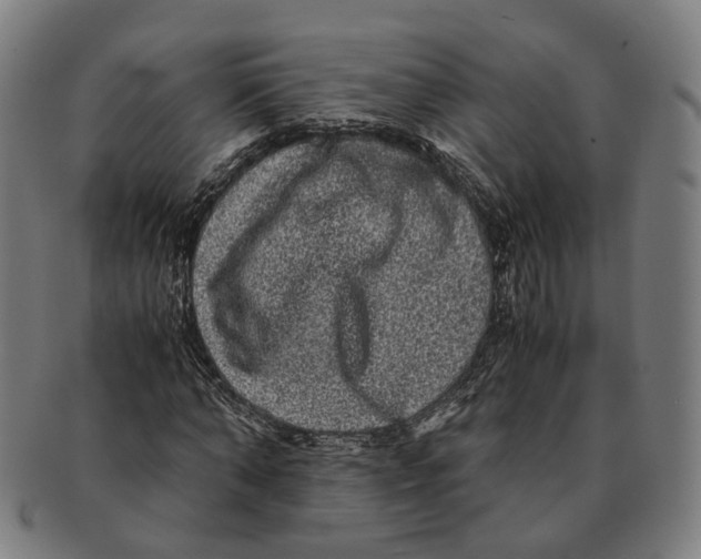 X0000090990870200708301310