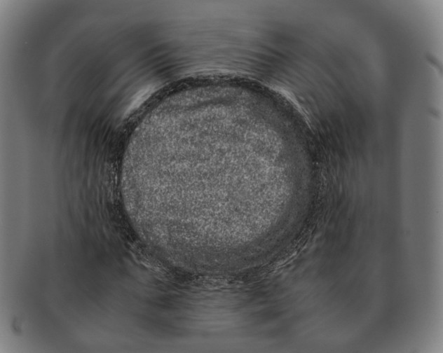 X0000090990871200708301310