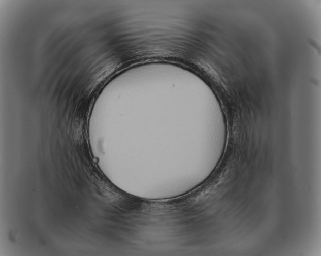 X0000090990873200708301310