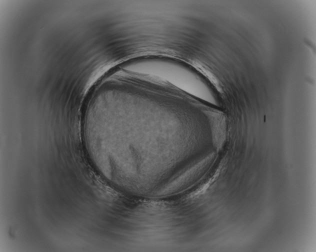 X0000090990877200708301310