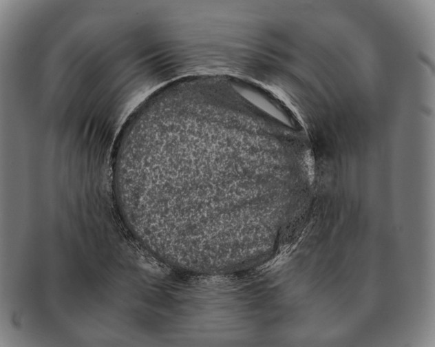 X0000090990879200708301310