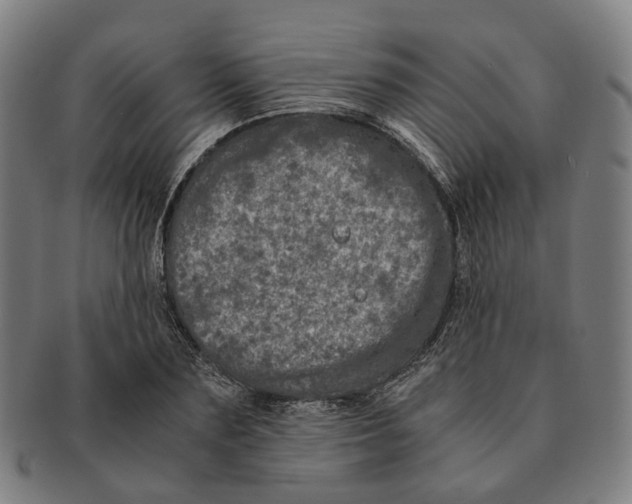 X0000090990883200708301310