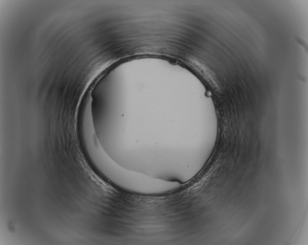 X0000090990884200708301310