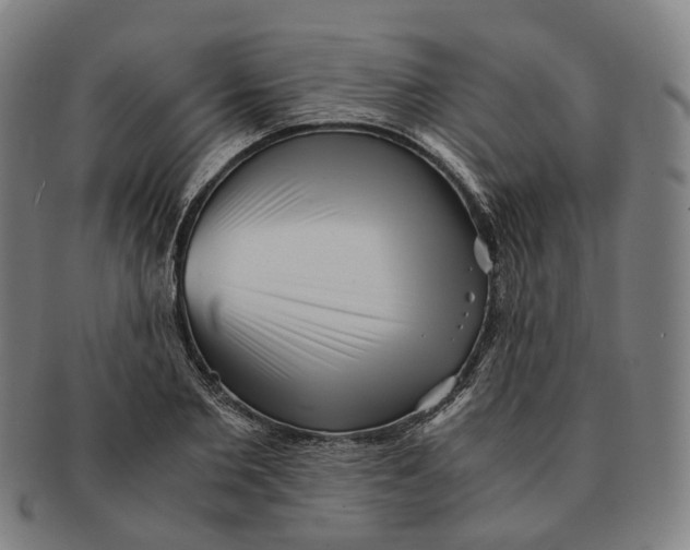 X0000090990885200708301310