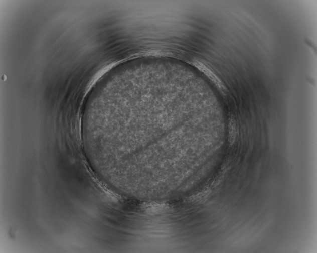 X0000090990886200708301310