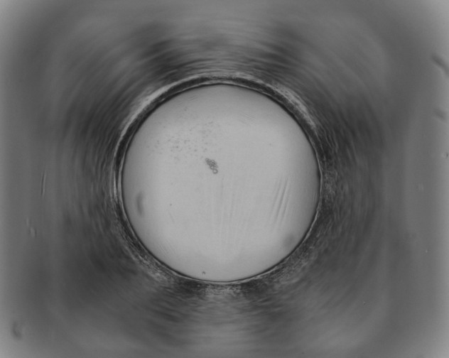 X0000090990887200708301310