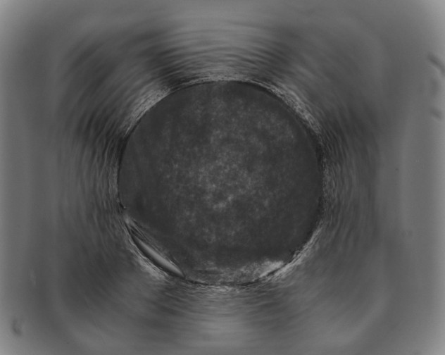 X0000090990889200708301309