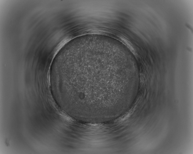 X0000090990891200708301309