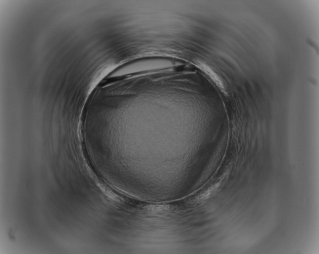 X0000090990893200708301309