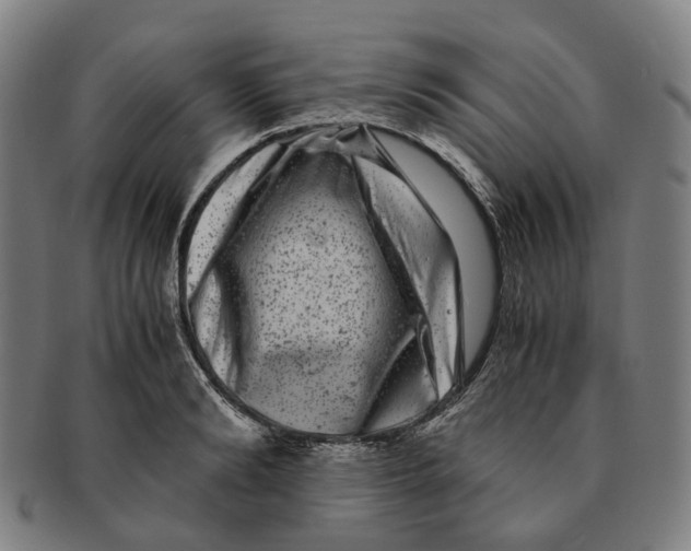 X0000090990894200708301309