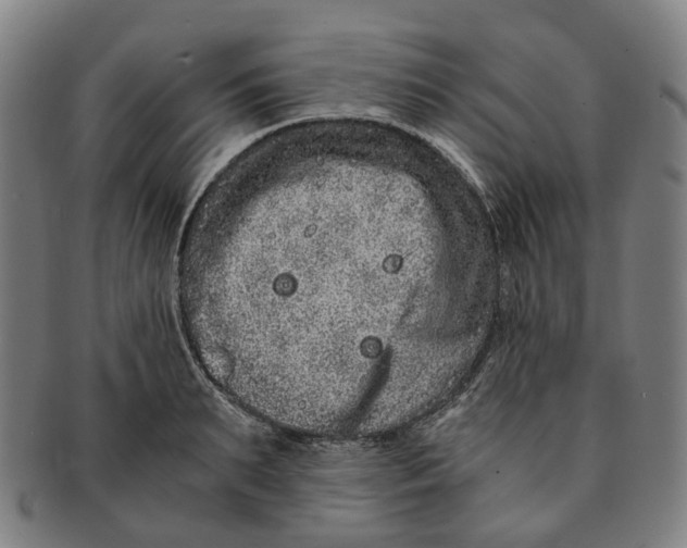 X0000090990895200708301309