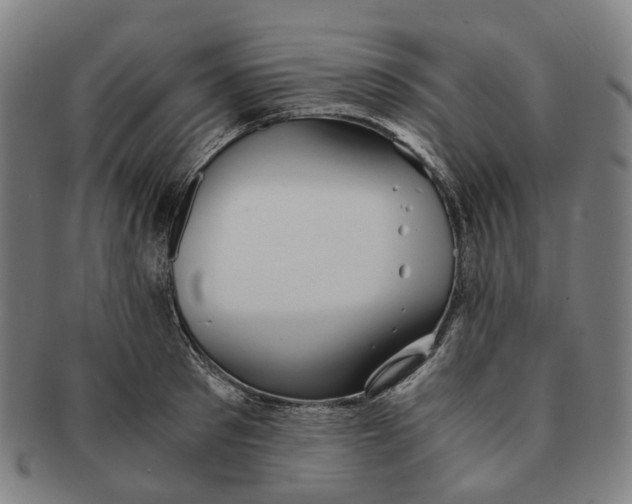 X0000090990897200708301309