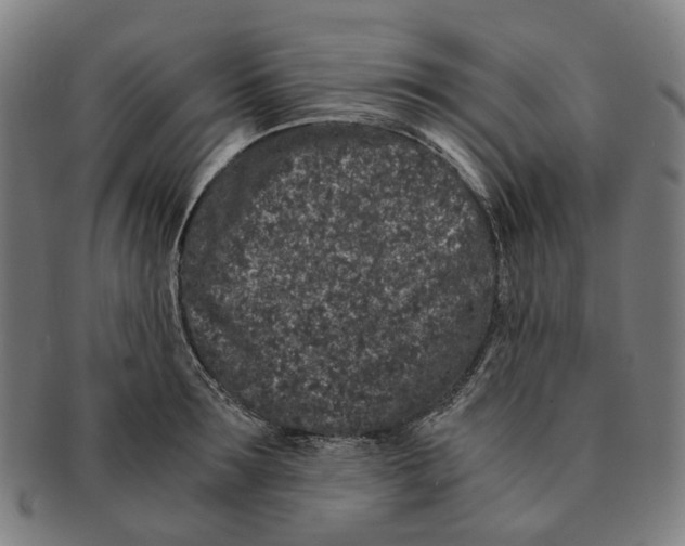 X0000090990899200708301309