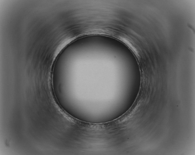 X0000090990901200708301309