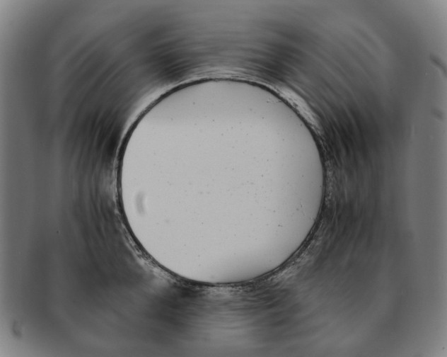 X0000090990904200708301309