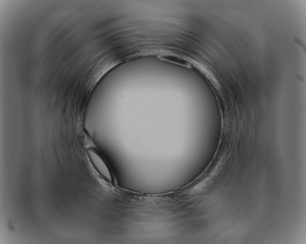 X0000090990905200708301309