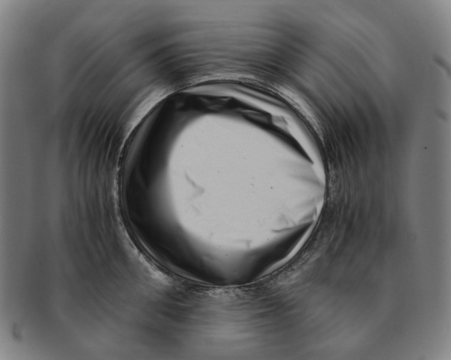 X0000090990906200708301309