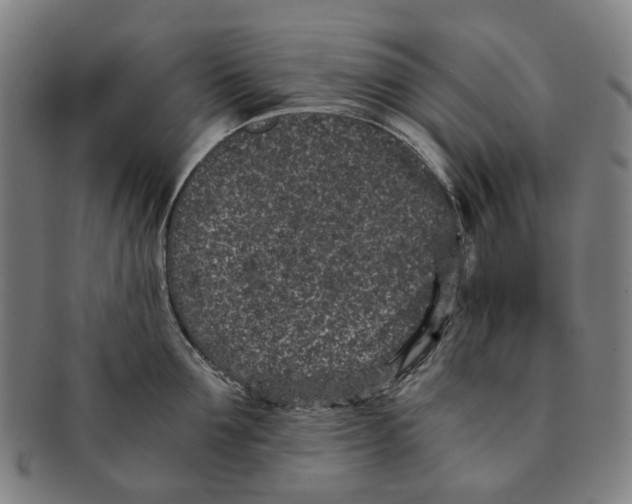 X0000090990907200708301309