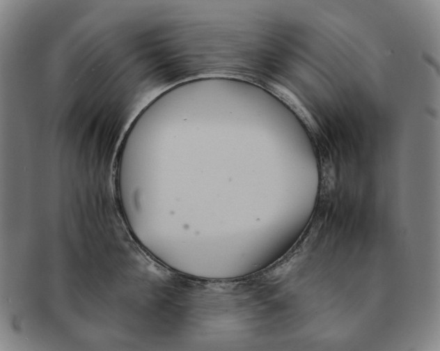 X0000090990908200708301309