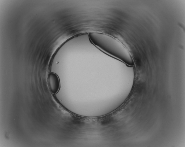 X0000090990909200708301309