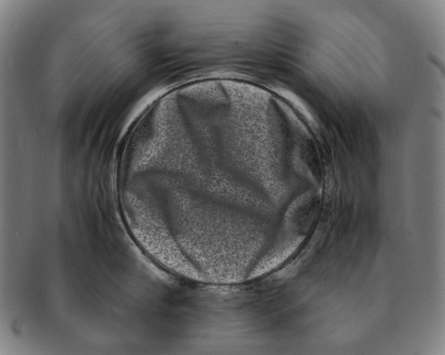 X0000090990910200708301309