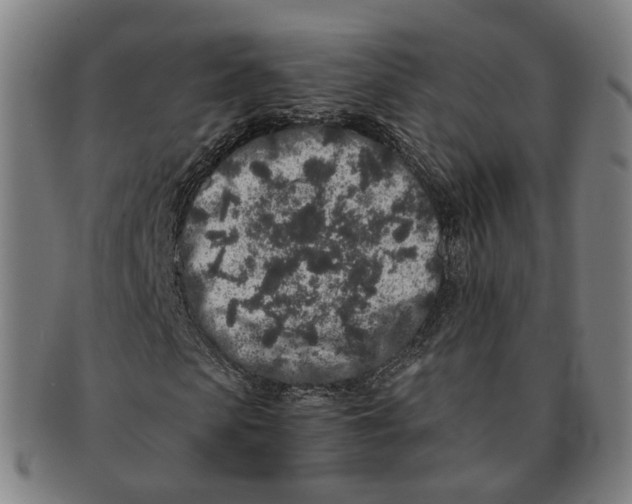 X0000090990913200708301309